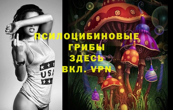 гашик Няндома
