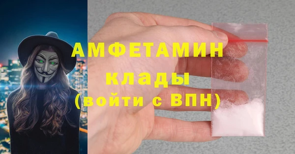 гашик Няндома