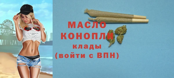 гашик Няндома