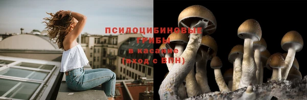 гашик Няндома