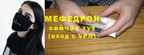 гашик Няндома