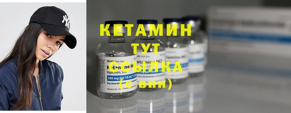 гашик Няндома