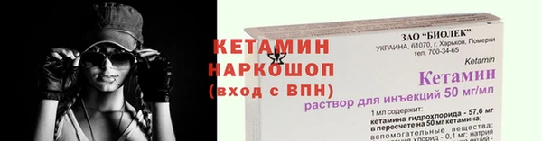 гашик Няндома