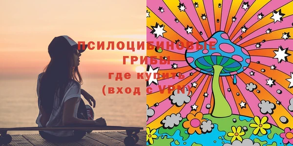 гашик Няндома