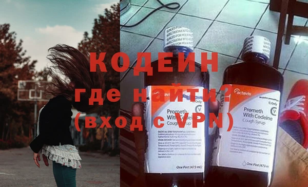 гашик Няндома