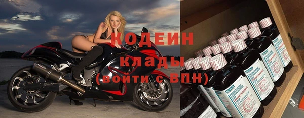 гашик Няндома