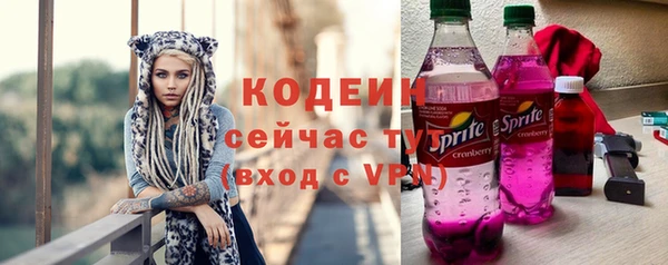 гашик Няндома