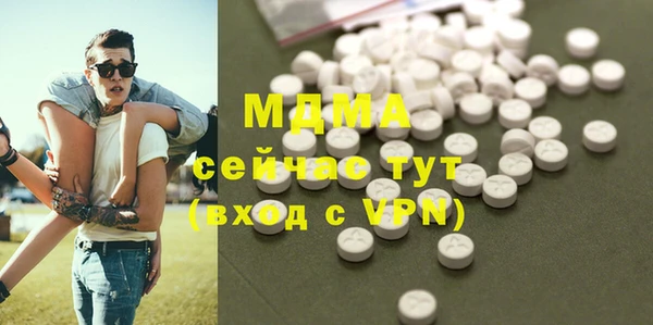гашик Няндома