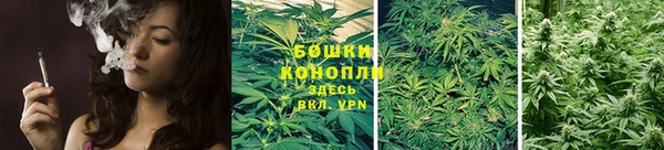 кокс Нягань