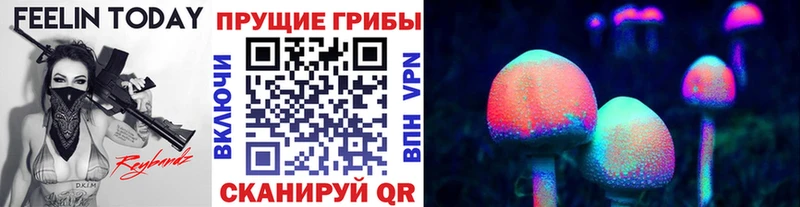 Купить закладки  Суоярви  Псилоцибиновые грибы Magic Shrooms 